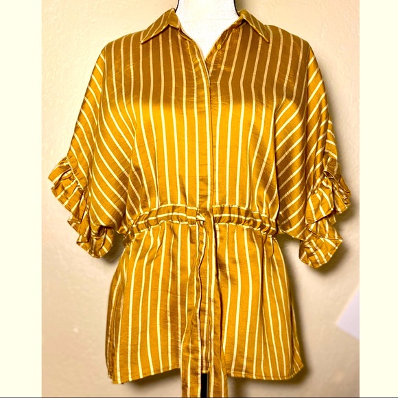 Zara Gold Ruffled Short Sleeve Top - Picture 4 of 7